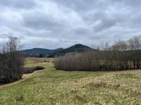 24-03-01 11-44-58 8863